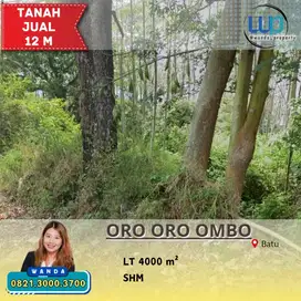 Tanah Dijual Cepat Lokasi Batu Malang