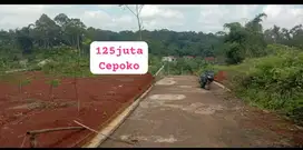 TANAH MURAH SEMARANG GUNUNGPATI, CEPOKO