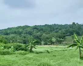 Tanah Industri Bisa Untuk Gudang Pabrik Murah di Garut