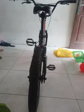 Sepeda wimcycle