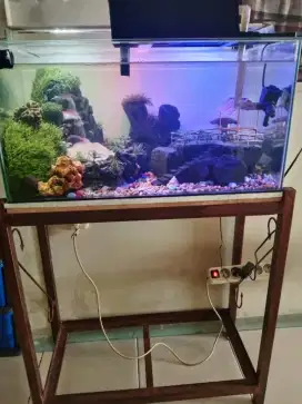 Dijual aquarium bekas berikut peralatan & rak besi
