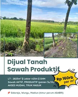 Tanah Sawah Timur Perum ASABRI Sidorejo Wungu Madiun