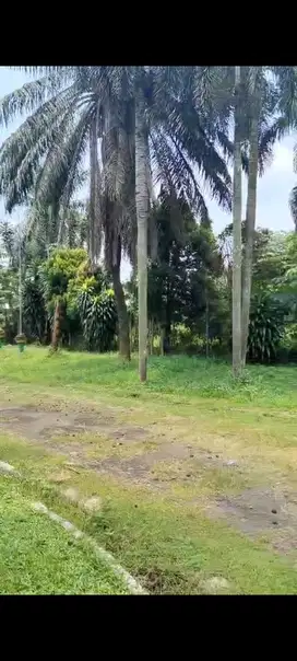 Tanah dijalan provinsi gunung sindur