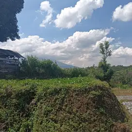 Dijual Tanah Kebun Aktif Belakang Taman Dolan Bumiaji Batu Malang