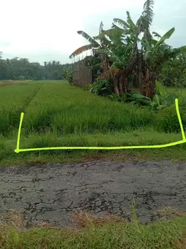 Dijual tanah sawah di jln godean moyudan sleman