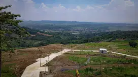 Dijual tanah kebun produktif dekat Jakarta Depok Tangerang Bekasi