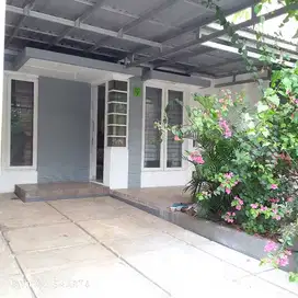 Rumah Sewa Rapih Semi Furnish Di Cibubur Country