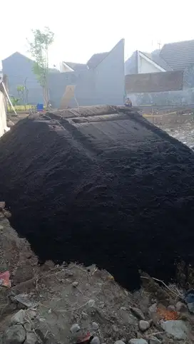 Pasir Lumajang Asli