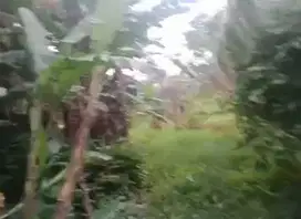 Dijual BU Tanah Sawangan Depok