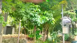 Kavling Cluster Griya Sutera Alam Sutera - 10 jt/m², Tangerang, Banten