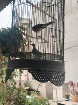 2 PERKUTUT BAHAN HARIAN BUNYI