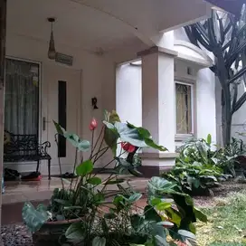Jual Cepat Rumah 2Lantai Di Puspitaloka Bsd City