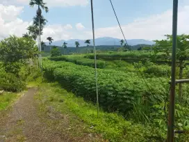 Dijual lahan peternakan pertanian Cikidang