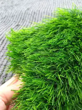 Jual Rumput Sintetis Dekorasi Rumah dan Taman Berkualitas