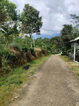 Tanah super murah