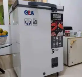 Freezer Box Gea 100 Liter Normal