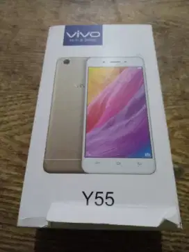 Handphone vivo Y55