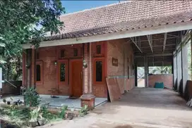 Rumah Adat Osing Banyuwangi yang Unik dan Asri