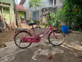 Sepeda Anak merk Phoenix