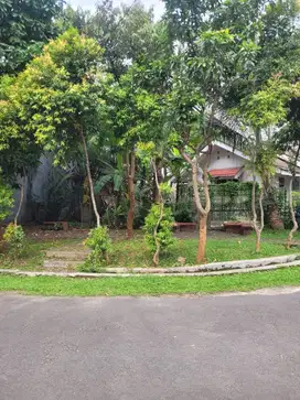 Rumah Depan Taman Murah Cocok Untuk Kos Kosan di Griya Loka BSD