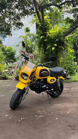 Gazgas Gorilla 2021 Full Paper