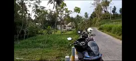 Tanah Mangku Jalan Ngembal Wajak Malang