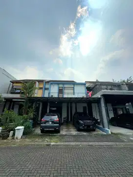 Foglio Foresta BSD City