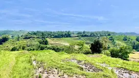Dijual Murah Tanah 4426 m2 di Perbatasan Bandung Barat dan Purwakarta