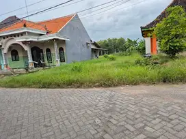 DIJUAL TANAH KAVLING SIAP BANGUN BALONGPANGGANG GRESIK