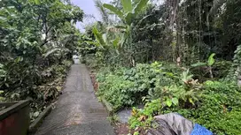 Jual tanah Luas kecil zona perumahan harga murah di tabanan Bali.