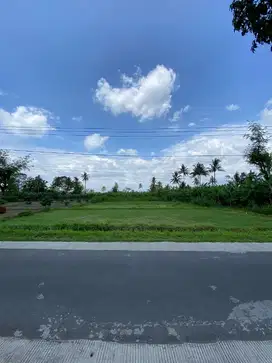 TANAH KAVLING LUAS MURAB DI PAKIS MALANG