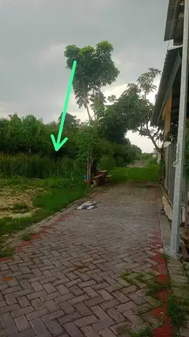 Tanah Siap Bangun Medokan Ayu rungkut Surabaya