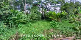 Dijual tanah luas pinggir jalan strategis subur dekat kota