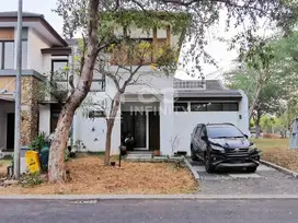 Dijual Cepat Avani BSD Bagus  Rapi & Siap Huni