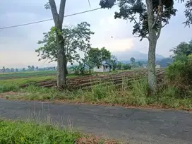 TANAH PACET ZONA KUNING CANTIK DATAR