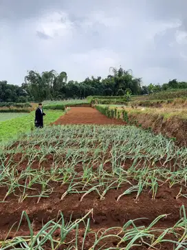 DIJUAL LAHAN  SIAP PAKAI di DAERAH PACET CIANJUR