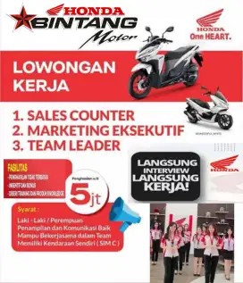 Koordinator dan Sales Counter