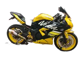 DIJUAL NINJA 250 RR MONO KUNING MULUS