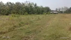 Jual tanah lokasi utara kel plesungan luas 90mtr harga 110jt nego