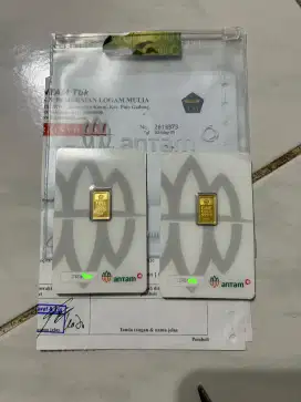 EMAS LOGAM MULIA ANTAM 2GR 2025 CERTIEYE