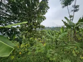 Dijual Tanah di Hambalang Sentul Pinggir Jalan