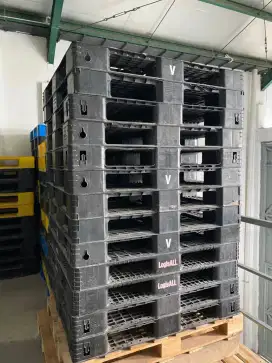 Pallet Plastik Bekas Kondisi Sangat Bagus