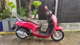 Scoopy 2022 Warna Favorit