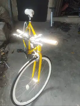 Dijual Sepeda Fixie Simpanan (ORI)