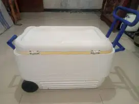 IGLOO CAMPING COLLER..70 L / USA