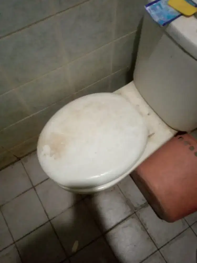 Jasa bersih rumah
