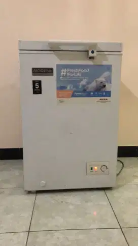 Frezer Box Modena 100 Liter