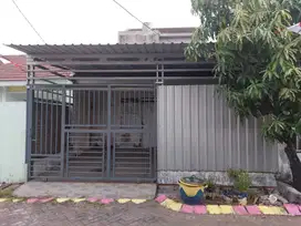 KELURAHAN PALEM WATU, MENGANTI GRESIK