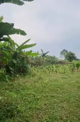 Dijual Tanah Area Parung Bogor