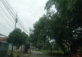 Tanah Kapling Murah Dekat UNPAM Viktor Cocok Kos-Kosan FREE SHM